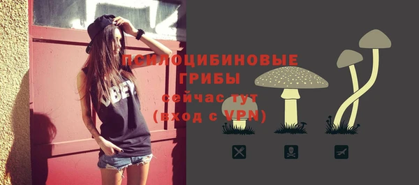 круглые Надым