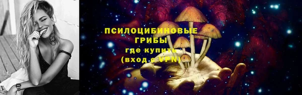 ГАЛЛЮЦИНОГЕННЫЕ ГРИБЫ Михайловка