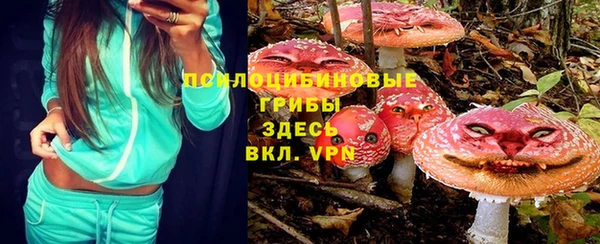 СК Михайловск