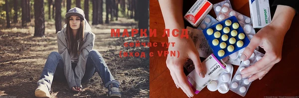 гидропоника Михайлов