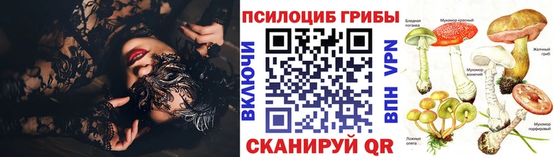 где можно купить   Балаково  Псилоцибиновые грибы прущие грибы 