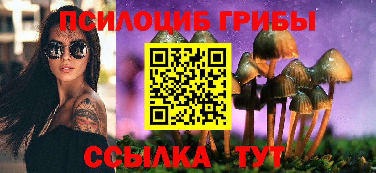 Псилоцибиновые грибы прущие грибы  Псилоцибиновые грибы Magic Shrooms  Балаково 